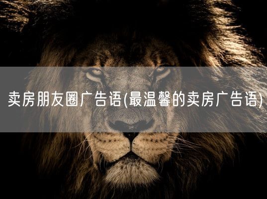 卖房朋友圈广告语(最温馨的卖房广告语)(图1)