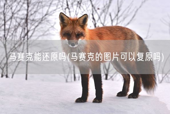 马赛克能还原吗(马赛克的图片可以复原吗)(图1)