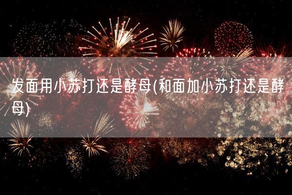 发面用小苏打还是酵母(和面加小苏打还是酵母)(图1)