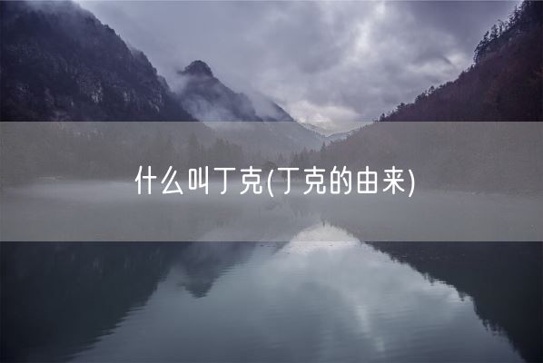 什么叫丁克(丁克的由来)(图1)