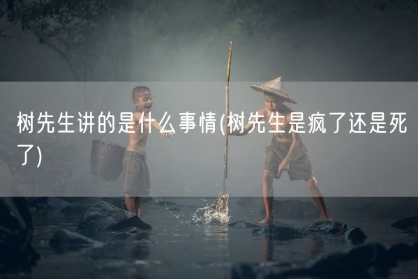 树先生讲的是什么事情(树先生是疯了还是死了)(图1)