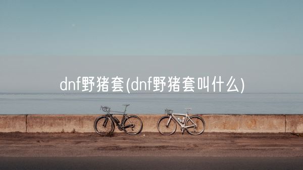 dnf野猪套(dnf野猪套叫什么)(图1)