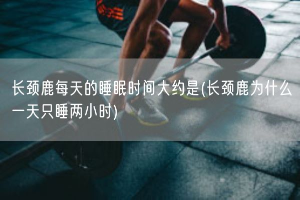长颈鹿每天的睡眠时间大约是(长颈鹿为什么一天只睡两小时)(图1)