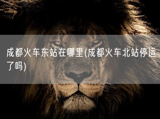 成都火车东站在哪里(成都火车北站停运了吗)(图1) 成都火车东站在哪里(成都火车北站停运了吗)(图1)