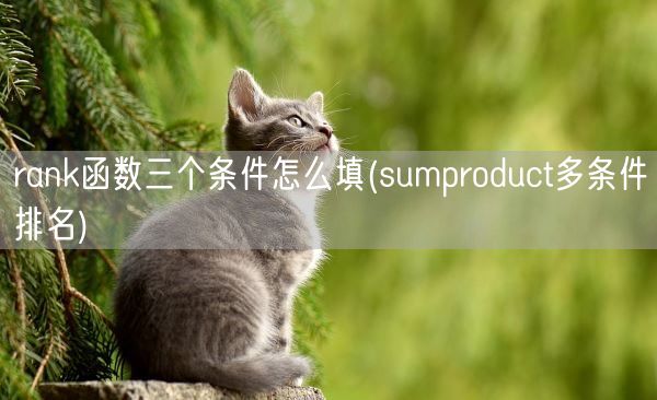 rank函数三个条件怎么填(sumproduct多条件排名)(图1)