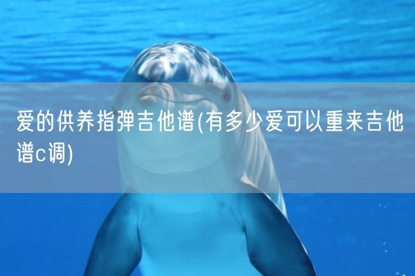 爱的供养指弹吉他谱(有多少爱可以重来吉他谱c调)(图1) 爱的供养指弹吉他谱(有多少爱可以重来吉他谱c调)(图1)