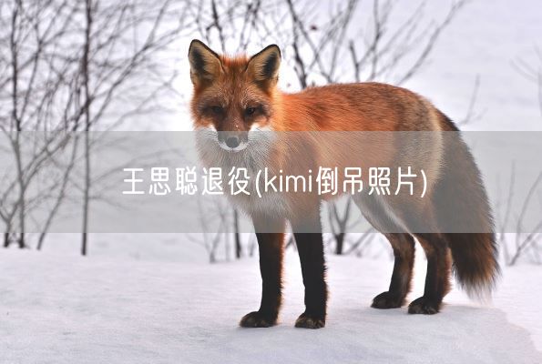 王思聪退役(kimi倒吊照片)(图1)