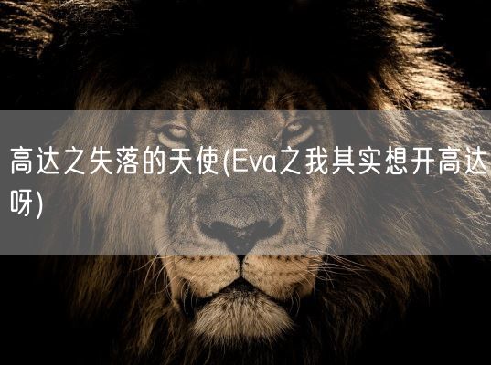 高达之失落的天使(Eva之我其实想开高达呀)(图1)