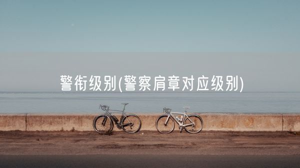 警衔级别(警察肩章对应级别)(图1) 警衔级别(警察肩章对应级别)(图1)