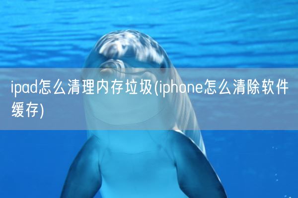 ipad怎么清理内存垃圾(iphone怎么清除软件缓存)(图1)