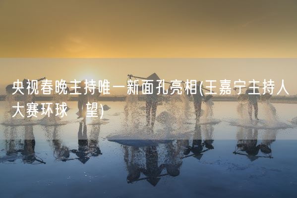 央视春晚主持唯一新面孔亮相(王嘉宁主持人大赛环球瞭望)(图1)