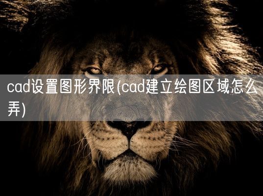 cad设置图形界限(cad建立绘图区域怎么弄)(图1) cad设置图形界限(cad建立绘图区域怎么弄)(图1)