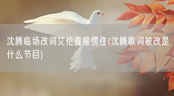 沈腾临场改词艾伦直接愣住(沈腾歌词被改是什么节目)(图1) 沈腾临场改词艾伦直接愣住(沈腾歌词被改是什么节目)(图1)