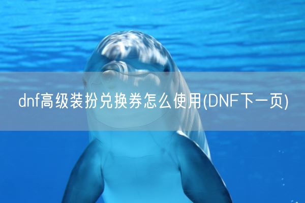 dnf高级装扮兑换券怎么使用(DNF下一页)(图1) dnf高级装扮兑换券怎么使用(DNF下一页)(图1)