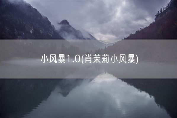 小风暴1.0(肖茉莉小风暴)(图1)