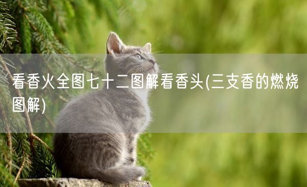 看香火全图七十二图解看香头(三支香的燃烧图解)(图1) 看香火全图七十二图解看香头(三支香的燃烧图解)(图1)