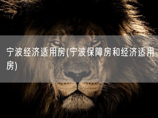 宁波经济适用房(宁波保障房和经济适用房)(图1) 宁波经济适用房(宁波保障房和经济适用房)(图1)