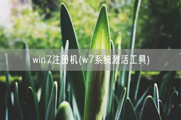 win7注册机(w7系统激活工具)(图1) win7注册机(w7系统激活工具)(图1)