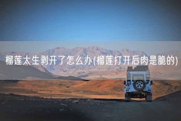 榴莲太生剥开了怎么办(榴莲打开后肉是脆的)(图1)