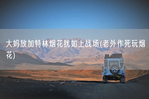 大妈放加特林烟花犹如上战场(老外作死玩烟花)(图1) 大妈放加特林烟花犹如上战场(老外作死玩烟花)(图1)