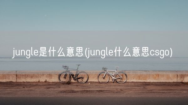 jungle是什么意思(jungle什么意思csgo)(图1)