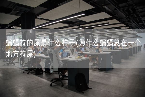 蝙蝠拉的屎是什么样子(为什么蝙蝠总在一个地方拉屎)(图1)