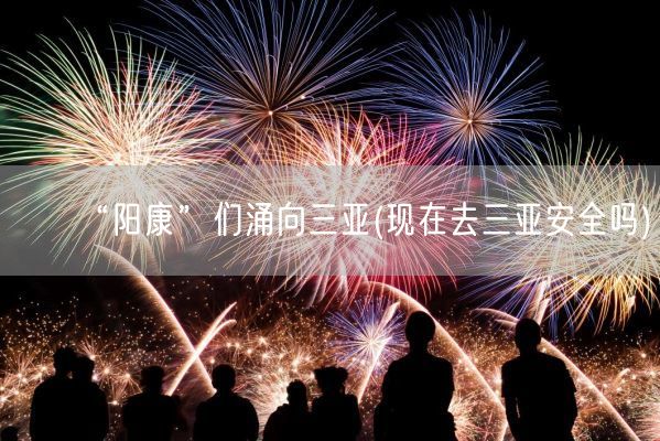 “阳康”们涌向三亚(现在去三亚安全吗)(图1)