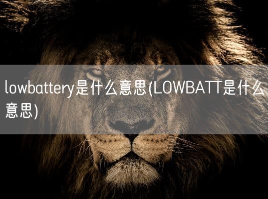 lowbattery是什么意思(LOWBATT是什么意思)(图1) lowbattery是什么意思(LOWBATT是什么意思)(图1)