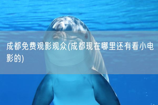 成都免费观影观众(成都现在哪里还有看小电影的)(图1) 成都免费观影观众(成都现在哪里还有看小电影的)(图1)