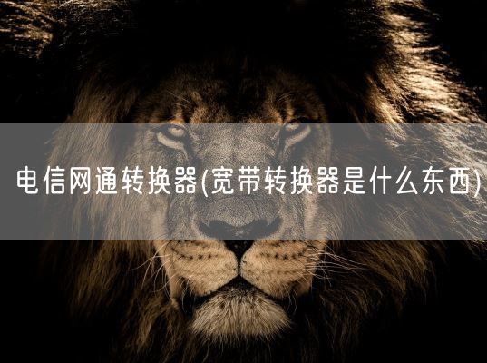 电信网通转换器(宽带转换器是什么东西)(图1) 电信网通转换器(宽带转换器是什么东西)(图1)