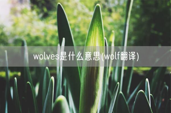 wolves是什么意思(wolf翻译)(图1)