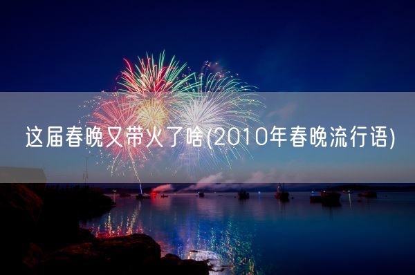 这届春晚又带火了啥(2010年春晚流行语)(图1) 这届春晚又带火了啥(2010年春晚流行语)(图1)