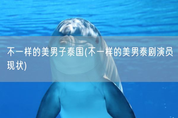 不一样的美男子泰国(不一样的美男泰剧演员现状)(图1) 不一样的美男子泰国(不一样的美男泰剧演员现状)(图1)