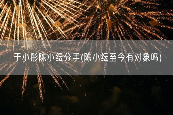 于小彤陈小纭分手(陈小纭至今有对象吗)(图1)