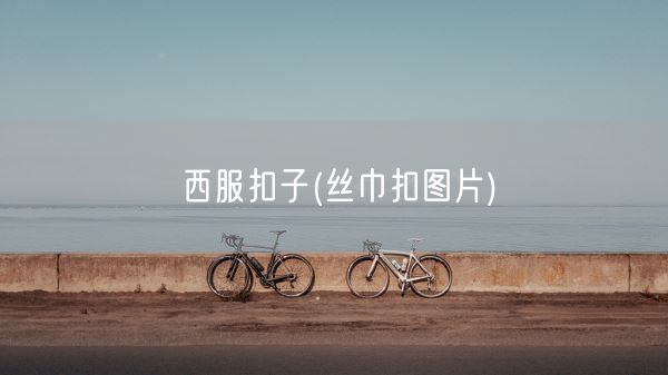 西服扣子(丝巾扣图片)(图1)