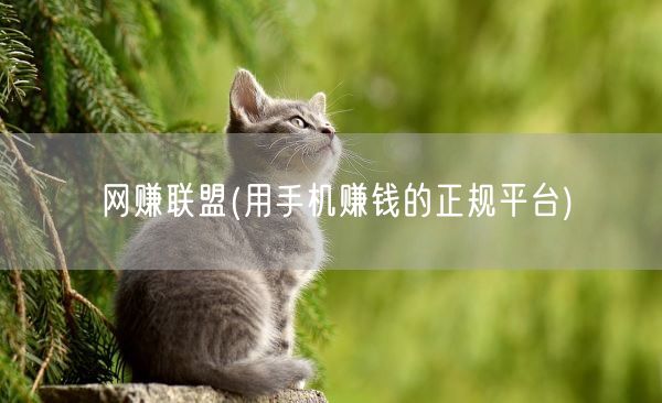网赚联盟(用手机赚钱的正规平台)(图1) 网赚联盟(用手机赚钱的正规平台)(图1)