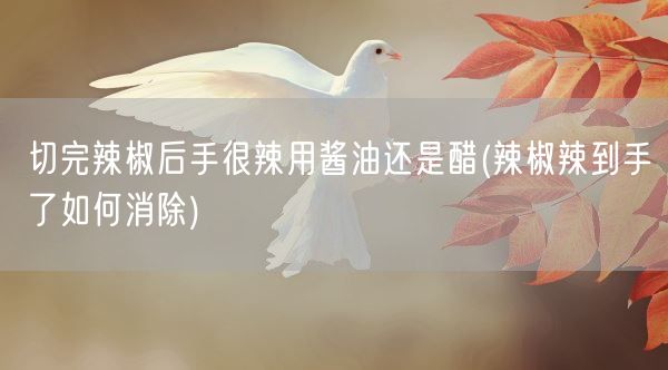切完辣椒后手很辣用酱油还是醋(辣椒辣到手了如何消除)(图1)