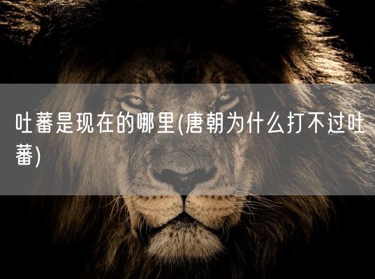 吐蕃是现在的哪里(唐朝为什么打不过吐蕃)(图1)