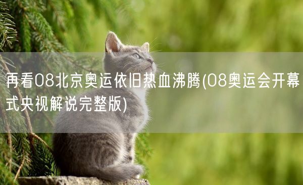 再看08北京奥运依旧热血沸腾(08奥运会开幕式央视解说完整版)(图1)