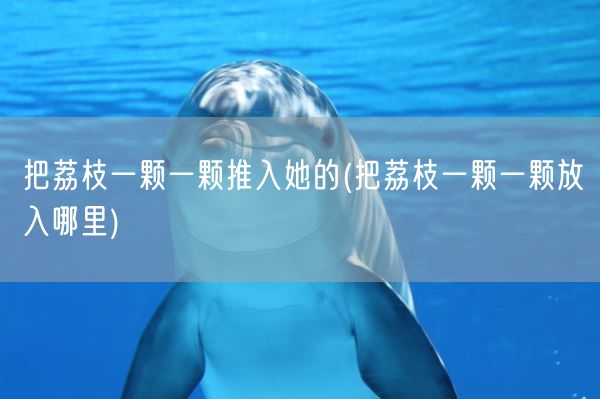 把荔枝一颗一颗推入她的(把荔枝一颗一颗放入哪里)(图1) 把荔枝一颗一颗推入她的(把荔枝一颗一颗放入哪里)(图1)