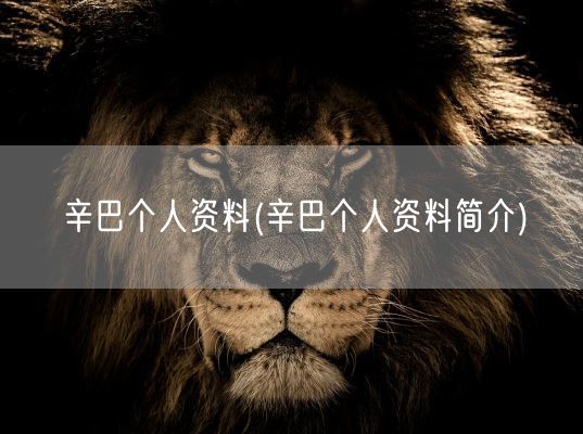 辛巴个人资料(辛巴个人资料简介)(图1)