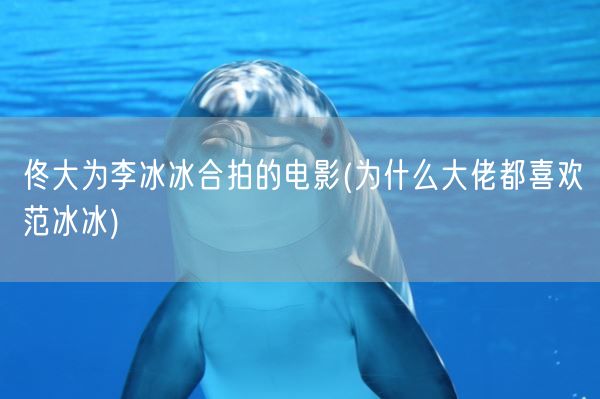 佟大为李冰冰合拍的电影(为什么大佬都喜欢范冰冰)(图1) 佟大为李冰冰合拍的电影(为什么大佬都喜欢范冰冰)(图1)