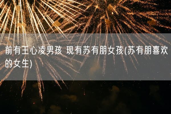 前有王心凌男孩 现有苏有朋女孩(苏有朋喜欢的女生)(图1)