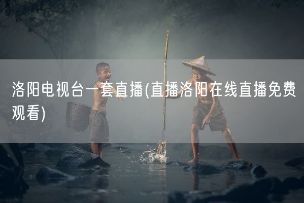 洛阳电视台一套直播(直播洛阳在线直播免费观看)(图1)