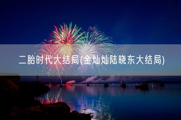 二胎时代大结局(金灿灿陆晓东大结局)(图1)