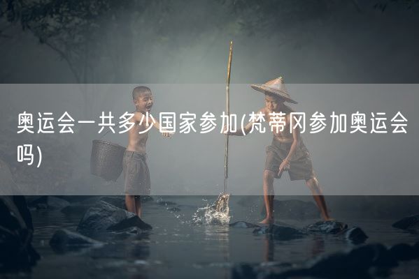 奥运会一共多少国家参加(梵蒂冈参加奥运会吗)(图1)