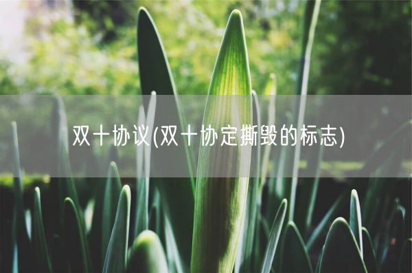 双十协议(双十协定撕毁的标志)(图1)