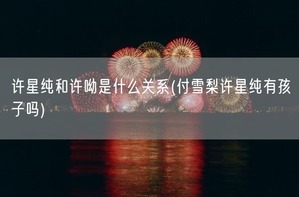 许星纯和许呦是什么关系(付雪梨许星纯有孩子吗)(图1) 许星纯和许呦是什么关系(付雪梨许星纯有孩子吗)(图1)