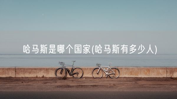 哈马斯是哪个国家(哈马斯有多少人)(图1)