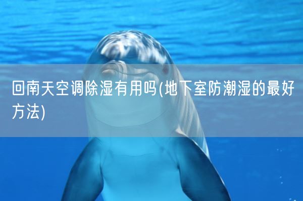 回南天空调除湿有用吗(地下室防潮湿的最好方法)(图1) 回南天空调除湿有用吗(地下室防潮湿的最好方法)(图1)